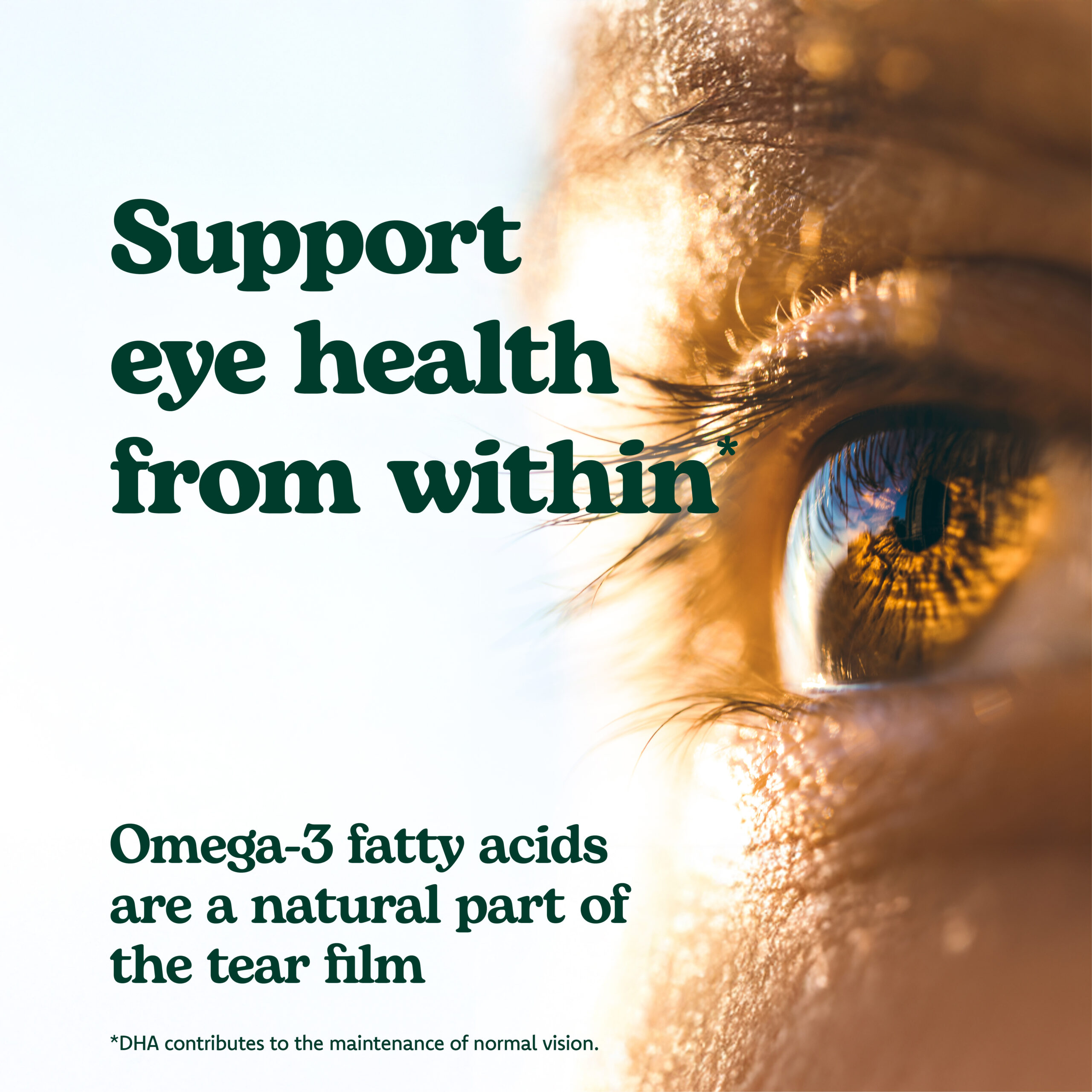 Eyetamins OmegaEye Advanced (formerly Actase OmegaEye Advanced) - Image 5